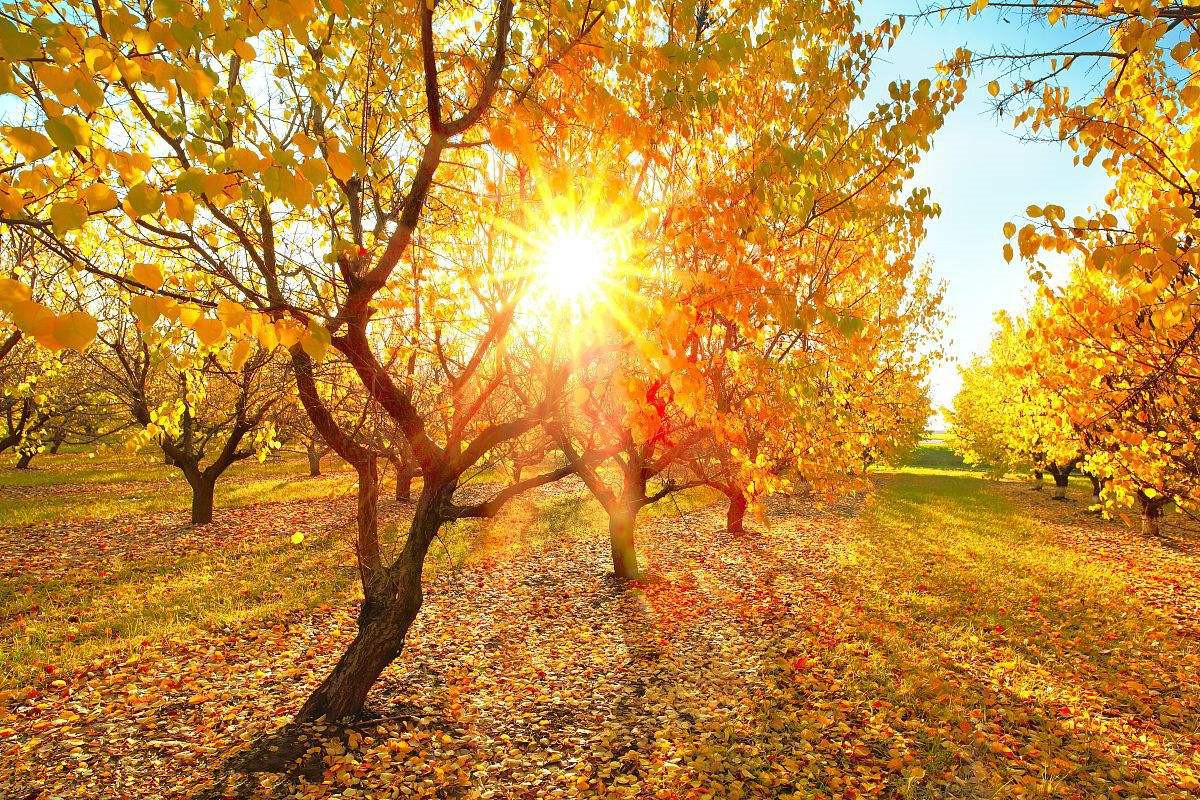 為什么秋季裝修異味這么重？甲醛超標(biāo)怎么辦