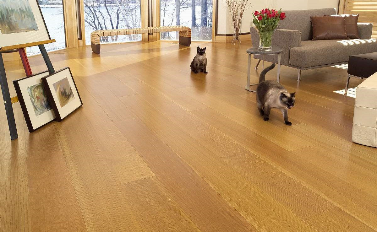 無法拆開、無法通風(fēng)！地板甲醛超標(biāo)怎么辦