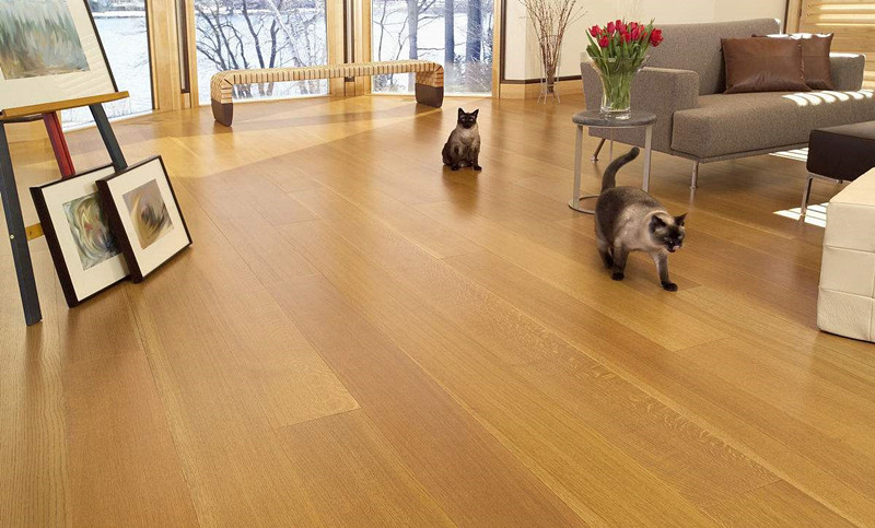 換新地板的房間全部甲醛超標(biāo)嚴(yán)重，地板甲醛超標(biāo)怎么辦？