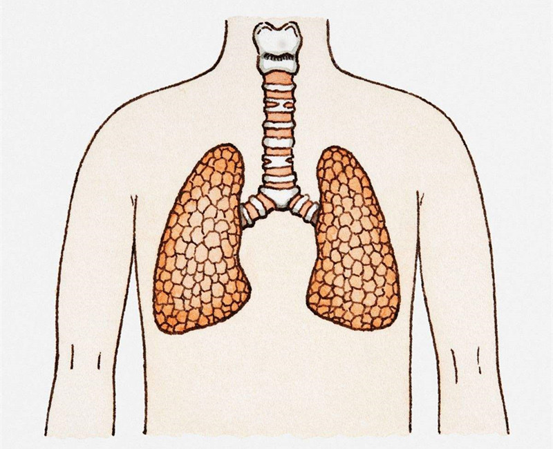 如何進行甲醛治理？沒有治理過的空氣就像虐待肺