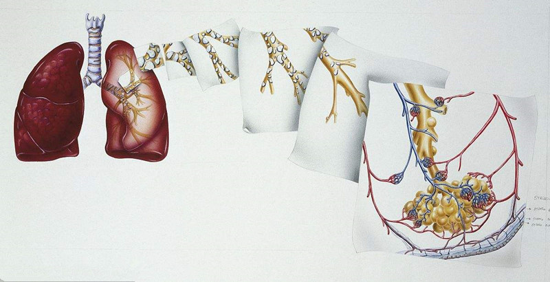 如何進行甲醛治理？沒有治理過的空氣就像虐待肺