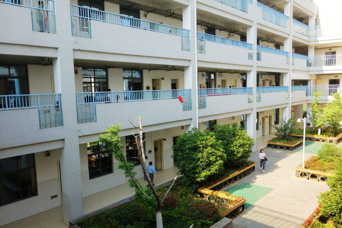 校舍裝修完買了400盆綠蘿凈化空氣，還有孩子開學(xué)***天就熏暈了！