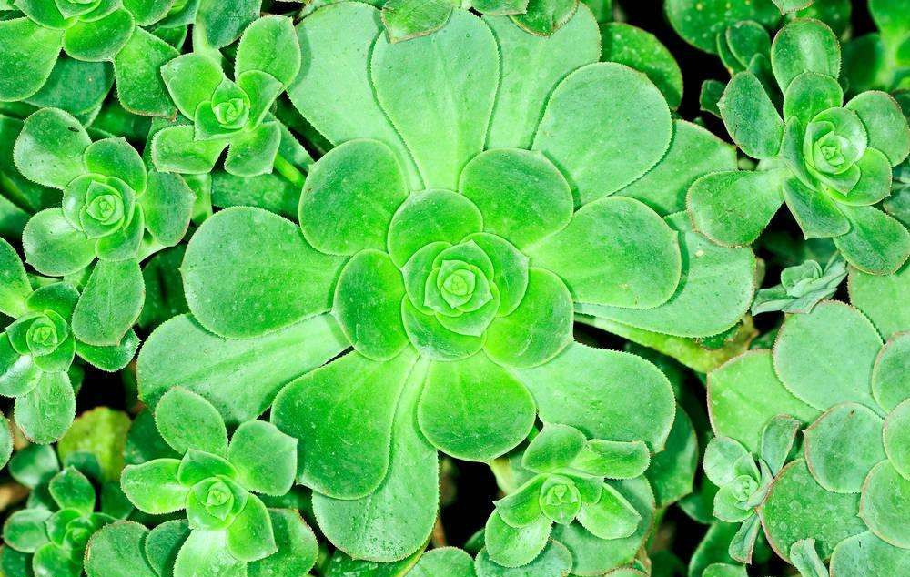 這樣去甲醛，您將親手“毀掉”自己的室內(nèi)空氣環(huán)境，今天再忙也要看一下！