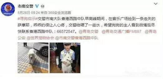 有問題找警察，薩摩耶派出所報(bào)案，不注意這件事，對狗狗致命，警察蜀黍卻幫不上忙！