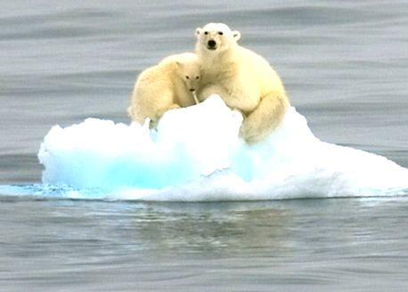 溫室效應產(chǎn)生的主要原因是什么？我們又該如何解決