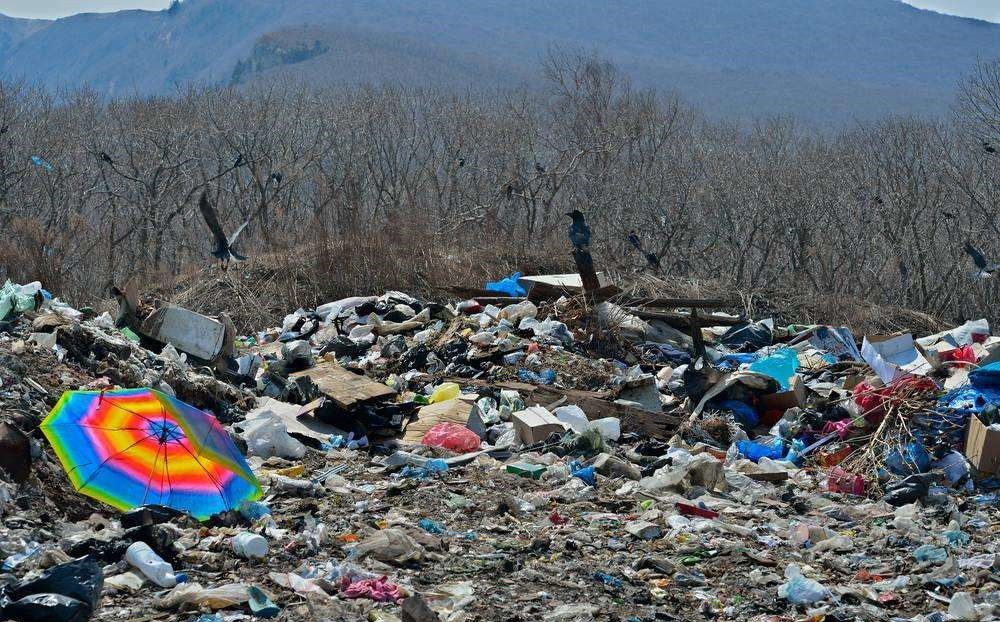 “視覺污染”和“潛在危害”是什么？