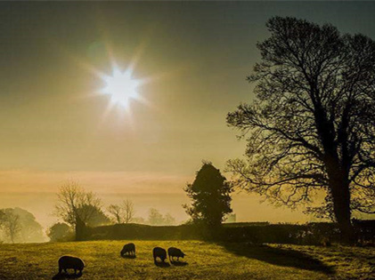 僅靠通風(fēng)換氣去除甲醛？這樣入住很危險(xiǎn)哦！