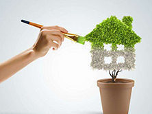 洋蔥可以除甲醛？民間流傳土方法可信嗎？