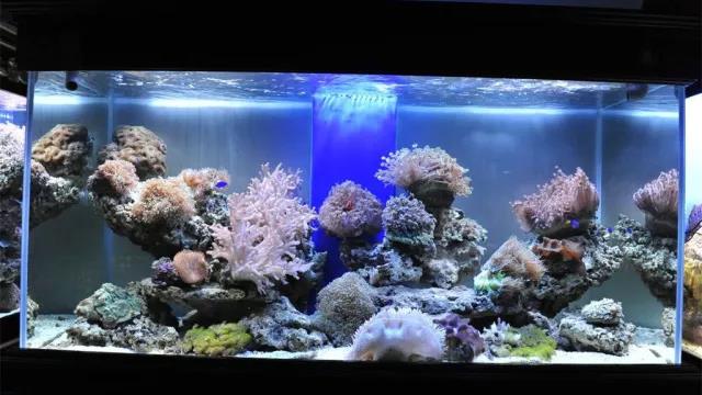 家中旺位和衰位在哪里？三分鐘學(xué)習(xí)室內(nèi)風(fēng)水學(xué)