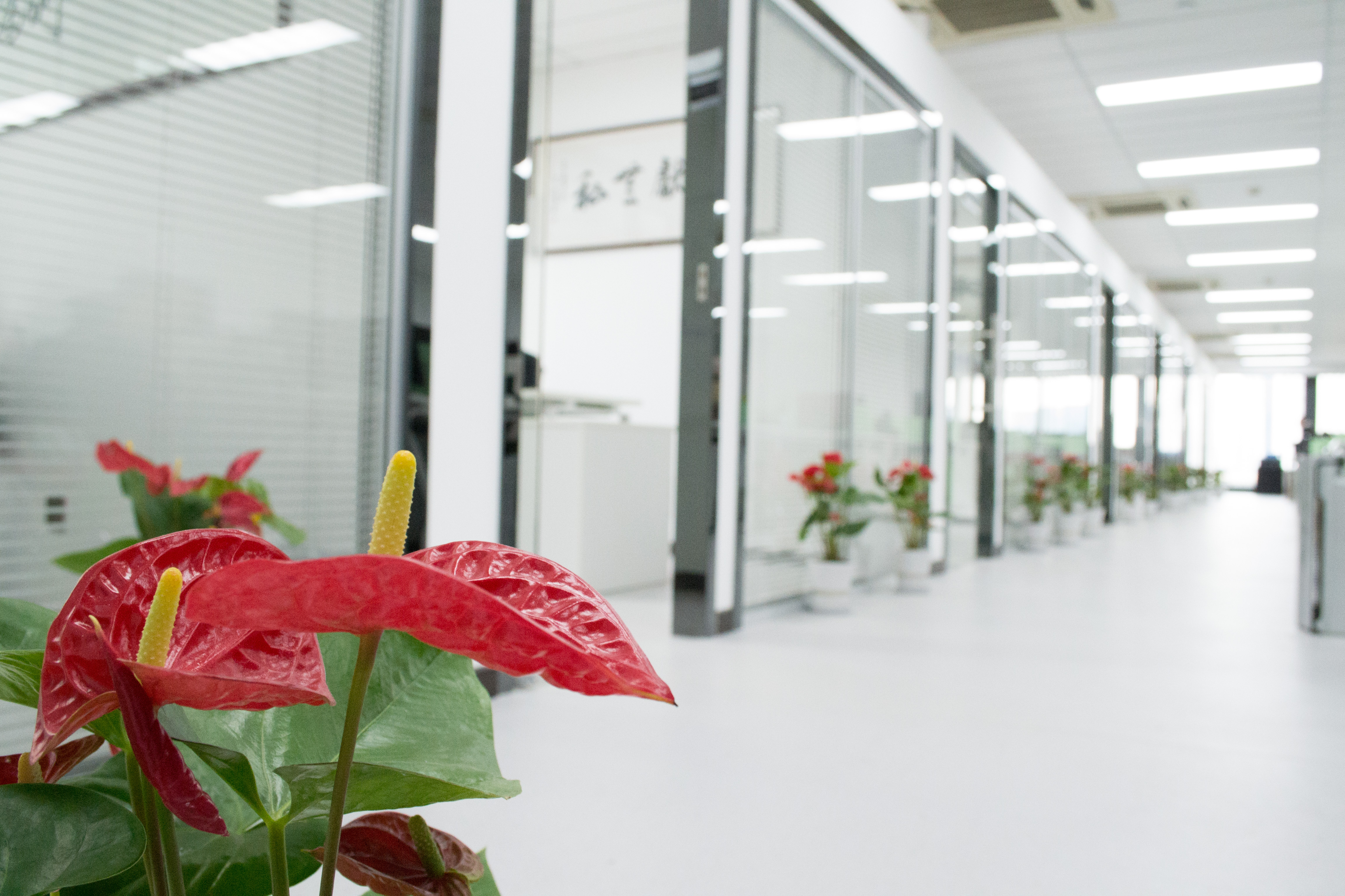 新起點，新征程 | 熱烈祝賀創(chuàng)綠家喬遷新址