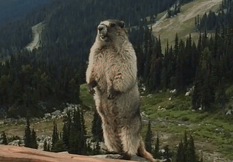 環(huán)保材料竟然裝修出污染房，新房裝修怎么這么難?。?！