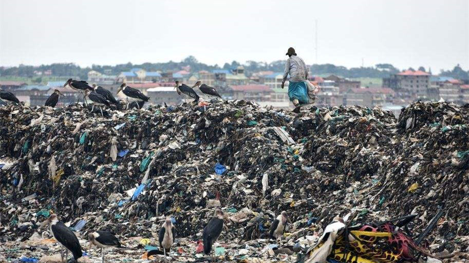 健康四月，環(huán)保政策搶先看！