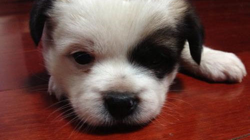 床墊薄膜要撕嗎？不僅要撕還要除甲醛！