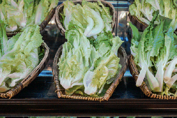 夏至高溫預(yù)警！消暑養(yǎng)生秘笈了解一下？