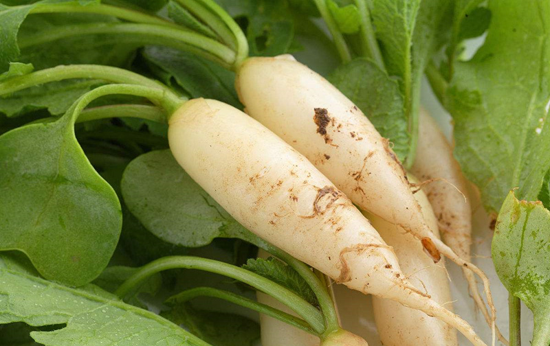 甲醛輕微超標(biāo)能自愈嗎？