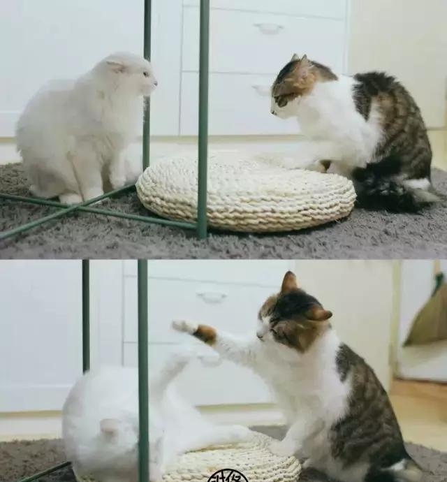 21天3000元重裝出租屋 除甲醛莫忘記！