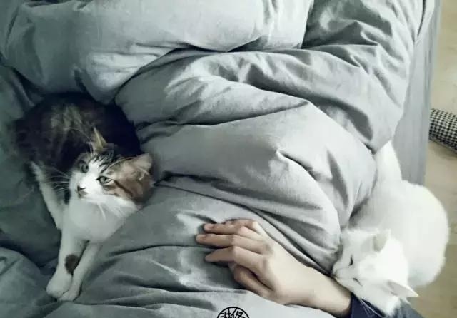 21天3000元重裝出租屋 除甲醛莫忘記！