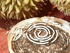 成分中有甲醛蚊香立馬變毒香，甚至還會致癌……