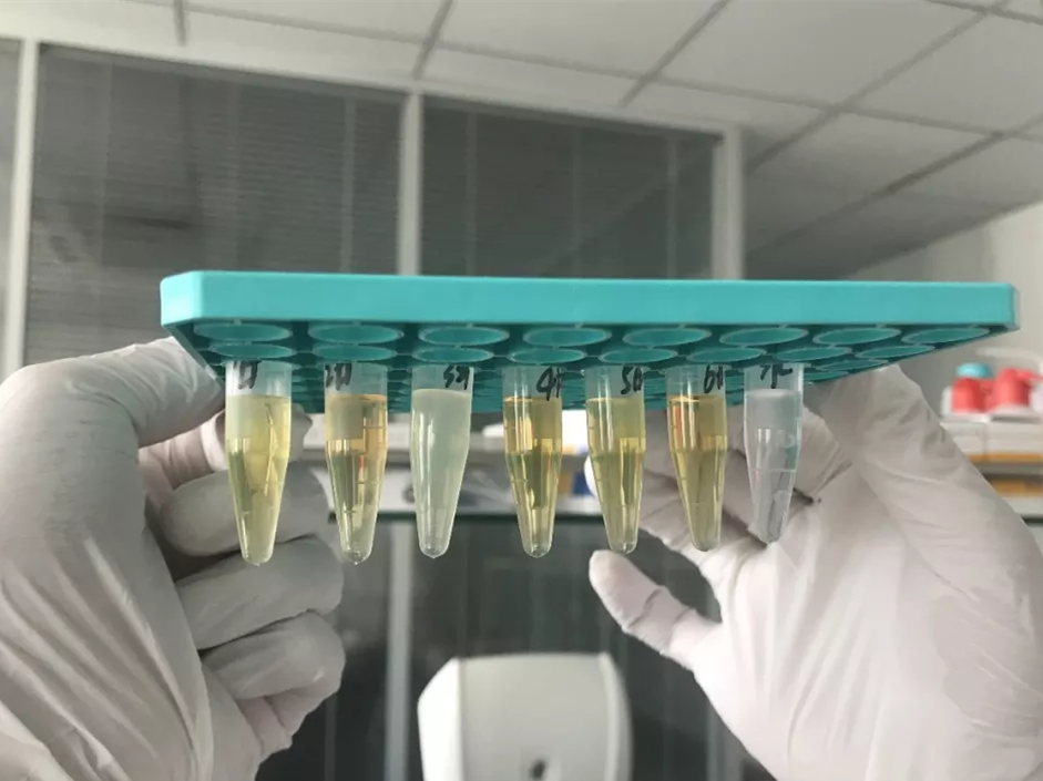 水煮花生含甲醛？實(shí)測(cè)多家燒烤店結(jié)果太可怕！