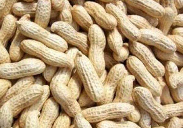 水煮花生含甲醛？實(shí)測(cè)多家燒烤店結(jié)果太可怕！