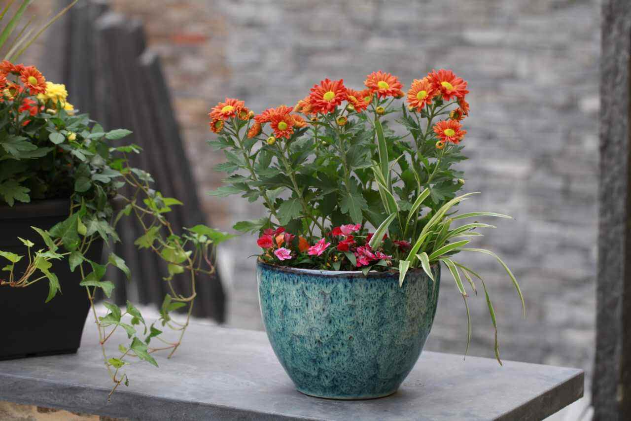 你認(rèn)為網(wǎng)上最正確的除甲醛方法是那個(gè)？