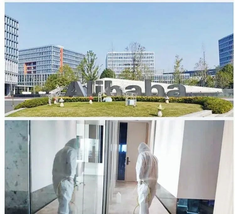 吾志所向，一往無前 | 創(chuàng)綠家2020年大事記