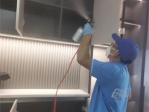 偏方真的能除甲醛嗎？