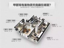 關于甲醛清除的主要誤區(qū)都在這里