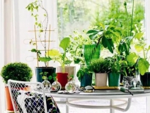 裝修6個(gè)月后的甲醛污染最嚴(yán)重，聞不到不代表沒(méi)污染