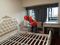 室內(nèi)除甲醛怎樣提高質(zhì)量？