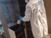 除甲醛怎么做效果好？