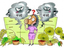 新買的衣柜甲醛含量較高，除甲醛公司建議不要急于放衣物