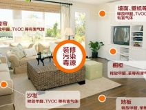 記憶力衰退？那可能是室內(nèi)裝修污染搞的鬼！