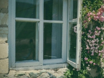 你認(rèn)為網(wǎng)上最正確的除甲醛方法是那個(gè)？