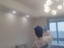 偏方真的能除甲醛嗎？