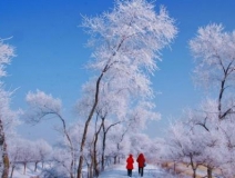 如何解決冬季室內(nèi)和車內(nèi)環(huán)境污染問題的問題呢？