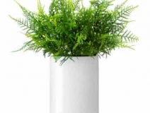 除了找除甲醛公司尋求幫助，還有什么辦法可以去毒