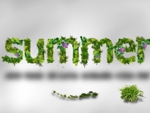 找除甲醛公司是一種辦法？是的，這還是您對待室內(nèi)空氣污染的正確心態(tài)！