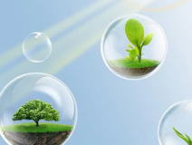 這些甲醛的危害你知道嗎？