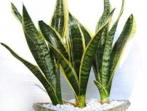 光觸媒是什么、原理及其作用