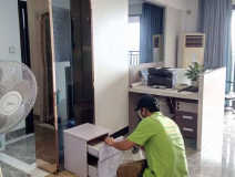 裝修后除甲醛依靠綠植可以嗎？