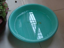 裝修完僅靠兩盆冷水就能除甲醛？這個說法連網(wǎng)友都出來辟謠！大家別再相信了！