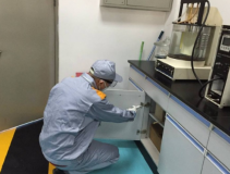 室內除甲醛需要考慮到哪些情況？