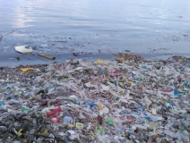 現(xiàn)代人生活節(jié)奏過(guò)快，卻導(dǎo)致環(huán)境空氣污染越來(lái)越嚴(yán)重