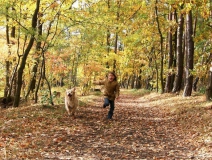 為什么秋季裝修異味這么重？甲醛超標怎么辦