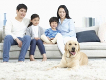 家里甲醛超標(biāo)怎么辦，受污染影響的人群有哪些