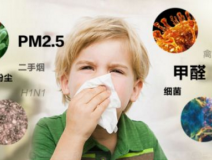 防止反彈，甲醛治理從根源做起