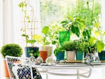 甲醛治理看的見，你的健康我來保護(hù)