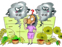 活性炭進(jìn)行甲醛治理真的有用嗎？