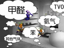 怎樣有效去除甲醛？